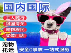 阳江合山空运国际宠物托运 【国